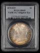 1878 8TF $1 PCGS MS65 VAM 14.1 Alligator Eye